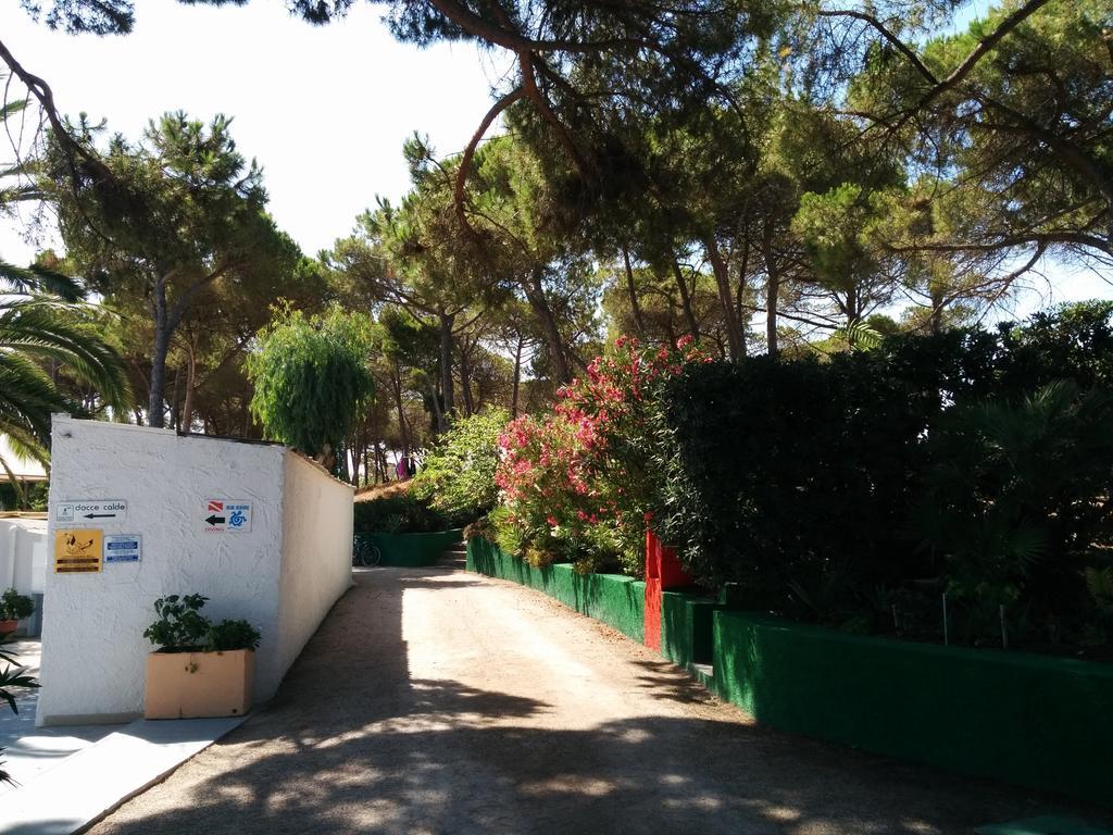 Campeggio La Mariposa Alghero Exteriér fotografie